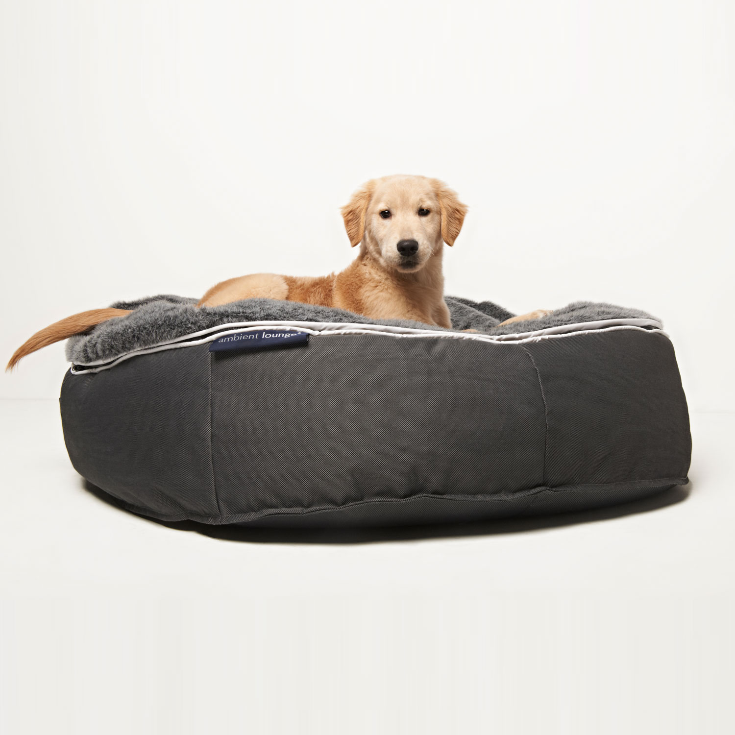 Лежанка pets. Ambient Lounge лежак для собаки. Лежанка Nunbell 267369. Лежанка для собак Pet Lounge. Лежанка для человека с матрасом.