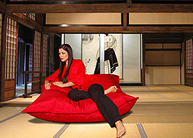 Zen Lounger Inspiration